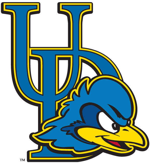 Delaware Blue Hens iron ons